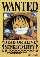 One_Piece___Want_516af72f9dee1.jpg